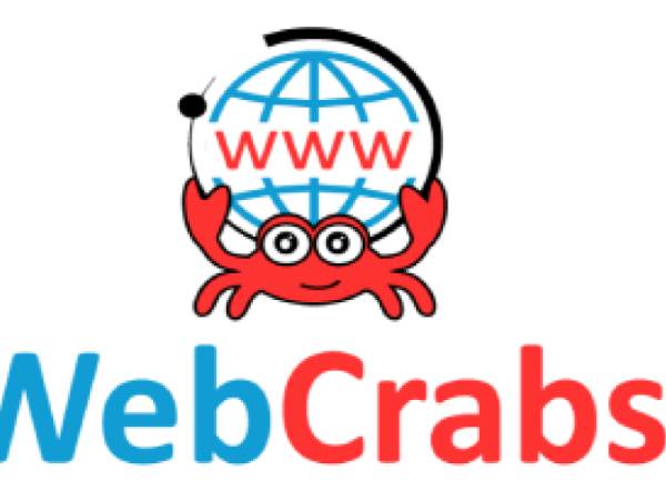 Website Design | Affordable website design & development Company |Web-Crabs
